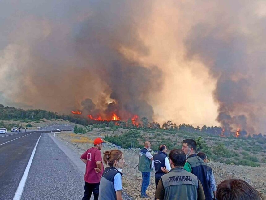 Bursa’daki orman yangınlarına müdahaleyi geciktirmek için yeni yangın çıkardığı iddia edilen eski astsubay için hapis cezası istendi. Bursa’daki orman yangınlarına müdahaleyi geciktirmek için yeni yangın çıkardığı iddia edilen eski astsubay için hapis cezası istendi.