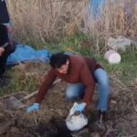 Hatay’da 4 kilogram altın çalan hırsızlar, 10 saatlik inceleme ile yakalandı; 4 tutuklandı.