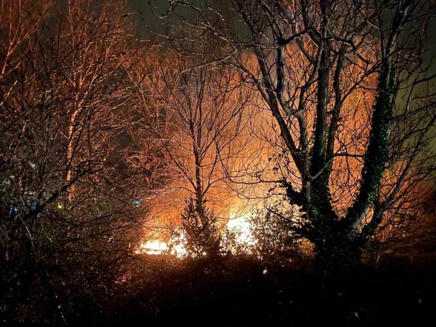 Çaycuma’da ağaçlık alanda çıkan yangın kontrol altına alındı, soruşturma başlatıldı. Çaycuma’da ağaçlık alanda çıkan yangın kontrol altına alındı, soruşturma başlatıldı.