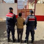 Aydın’ın Koçarlı ilçesinde 6 yıl 3 ay hapis cezası bulunan kişi jandarma tarafından yakalandı.