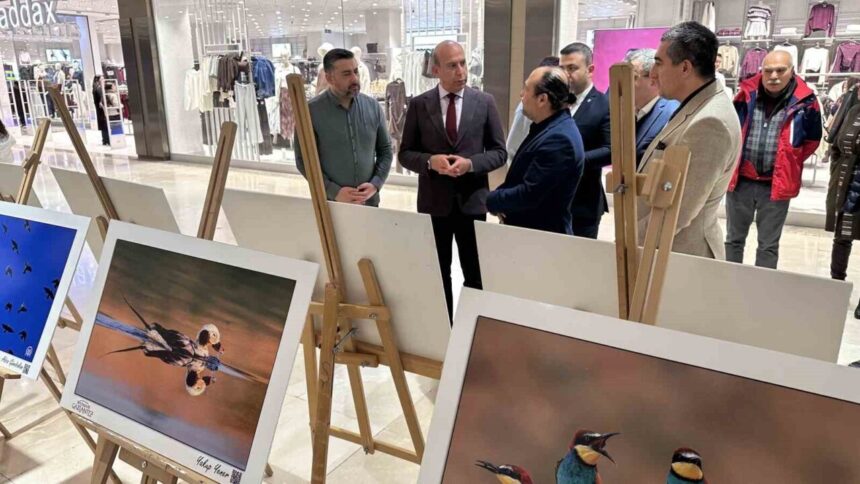 Gaziantep’te kuş fotoğraflarının sergilendiği özel bir etkinlik düzenlendi.