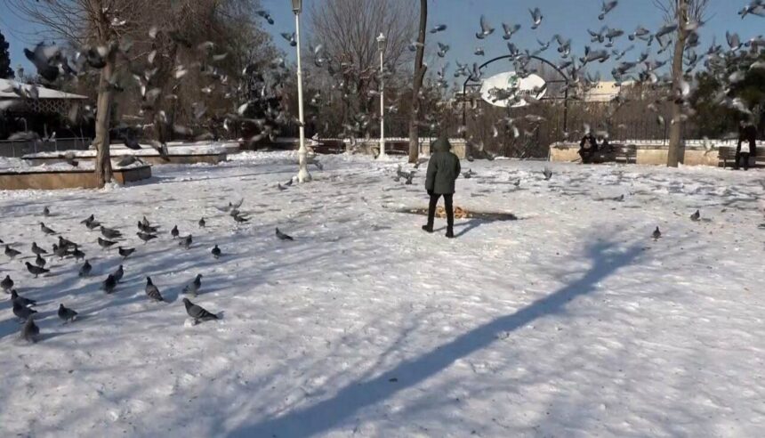 Yoğun kar yağışının ardından Gaziantep’te güneşli hava etkisini göstermeye başladı