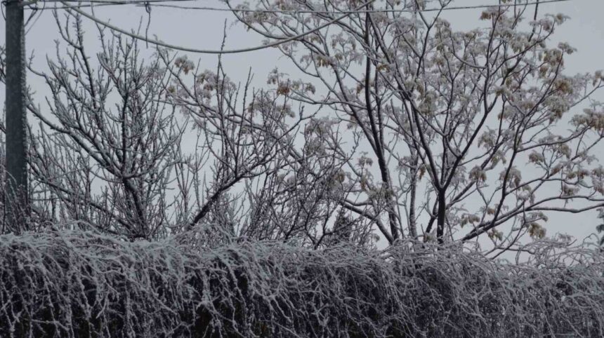 Gercüş’te Kar Yağışı, İlçeyi Beyaz Örtüyle Kapatırken Tedbir Uyarısı Yapıldı Gercüş’te Kar Yağışı, İlçeyi Beyaz Örtüyle Kapatırken Tedbir Uyarısı Yapıldı