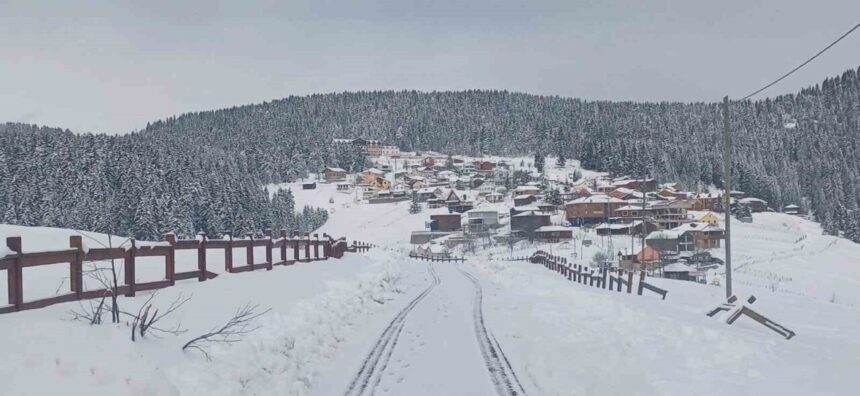 Giresun yaylalarında kar kalınlığı 1,5 metreyi buldu, yolların açık kalması için çalışmalar sürüyor. Giresun yaylalarında kar kalınlığı 1,5 metreyi buldu, yolların açık kalması için çalışmalar sürüyor.