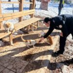 Gölbaşı Emniyet Müdürlüğü, sokak hayvanlarına mama ve yem bıraktı.