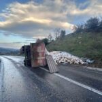 Gönen-Denizkent yolunda yem yüklü kamyon devrildi, trafik akışı kontrol altında sürdürüldü.