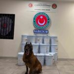 Ticaret Bakanlığı, Gümrük ekiplerinin operasyonlarıyla 1.9 milyar lira değerinde uyuşturucu madde ele geçirildiğini bildirdi.