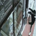 Iğdır’daki cep telefonu dükkanından hırsızlık yapan 3 şüpheliden 1’i tutuklandı.