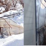 Çimenli köyünde yoğun kar yağışı nedeniyle seralar çöktü, üretici destek bekliyor.