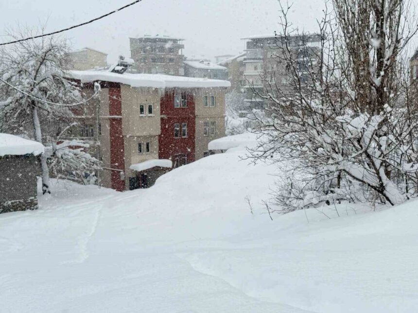 HAKKARİ (İHA) – Hakkari’de yoğun kar yağışı nedeniyle tüm okullar 1 gün tatil edildi.