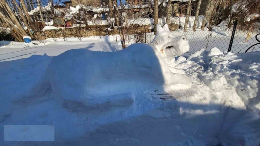 Hakkari’de Bir Genç, Karla Kangal Köpeği Figürü Yaparak Mahalleli Dikkatini Çekti