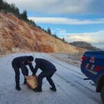 Harmankaya Tabiat Kanyonu’ndaki kaya parçaları jandarma ekipleri tarafından kaldırıldı.