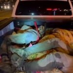 Hatay’da düzenlenen operasyonda 8 göçmen yakalanırken, 2 kaçakçılık organizatörü tutuklandı.