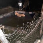 Hatay’da sulama havuzuna düşen at, itfaiye tarafından kurtarıldı.