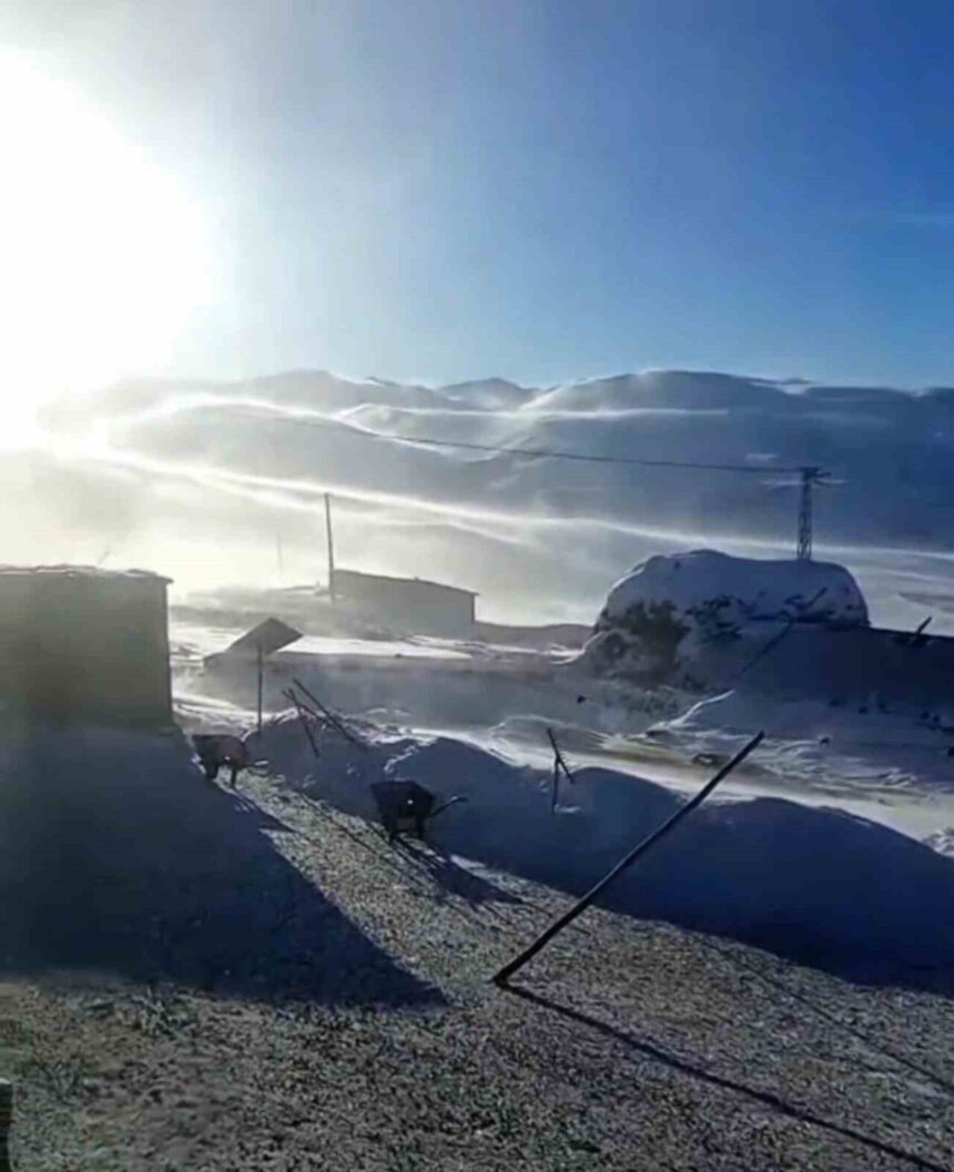 Iğdır’da kar yağışının ardından yüksek kesimlerdeki tipi ve fırtına hayatı olumsuz etkiledi.