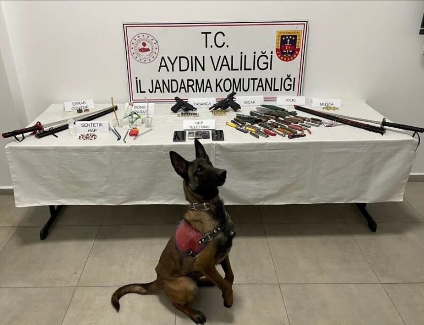 İncirliova’da Jandarma Operasyonu: Uyuşturucu ve Silah Ele Geçirildi