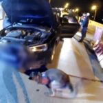 İstanbul’dan Gaziantep’e uyuşturucu taşıyan kişi jandarma tarafından yakalandı, 6 şüpheliden 3’ü tutuklandı.