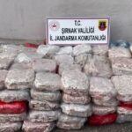 Şırnak’ta uyuşturucu operasyonlarıyla önemli sonuçlar elde edildi, 2025’te toplam 202 kişi gözaltına alındı.