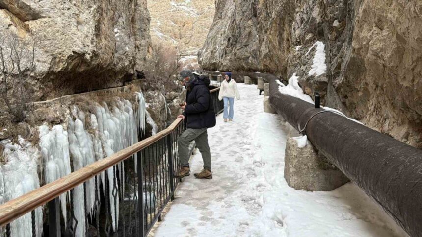 Sivas’taki Şuğul Kanyonu’nda devasa buz sarkıtları oluştu, boyları 5 metreyi bulabiliyor. Sivas’taki Şuğul Kanyonu’nda devasa buz sarkıtları oluştu, boyları 5 metreyi bulabiliyor.