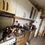 Kandıra’da kötü koşullarda tutulan 55 hayvan müdahale ile kurtarıldı, bakımevine nakledildi.