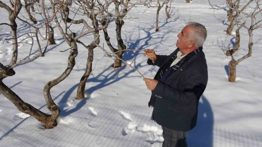 Gaziantep’te kar yağışı çiftçileri sevindirirken tarımsal verim için umutları artırdı.