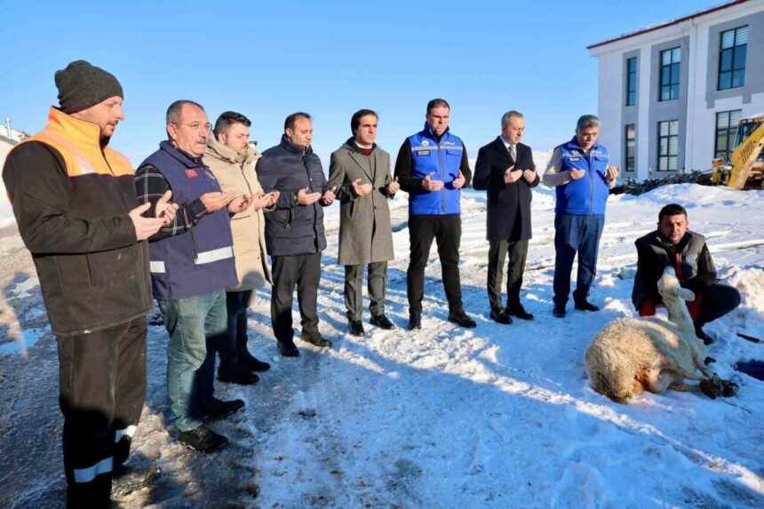 Sivas Belediyesi kar yağışı sonrası şükür koyunu kesti Sivas Belediyesi kar yağışı sonrası şükür koyunu kesti