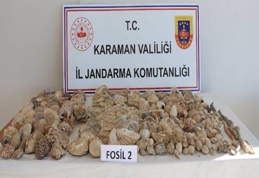 Karaman’da jandarma uygulamalarında kaçak sigara ile 420 fosil ele geçirildi, 12 kişi tutuklandı. Karaman’da jandarma uygulamalarında kaçak sigara ile 420 fosil ele geçirildi, 12 kişi tutuklandı.