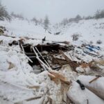 Başyayla’da yoğun kar yağışı nedeniyle ahırın çatısı çökmüş, 142 küçükbaş hayvan kurtarıldı.