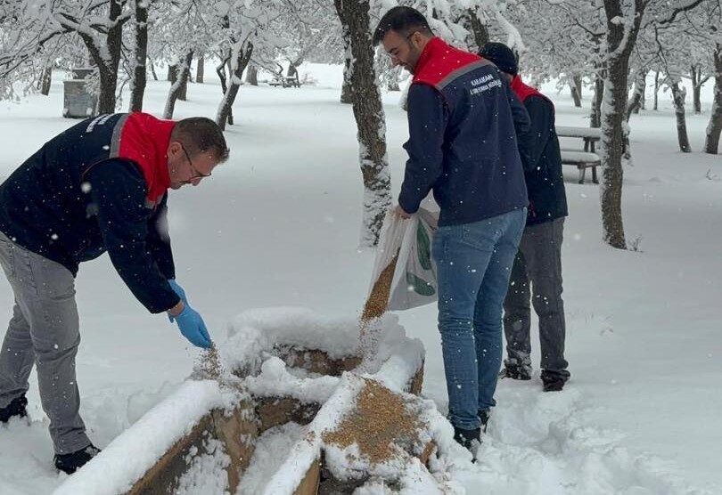 Kazımkarabekir’de kar yağışı sonrası yaban hayvanları için doğaya yem bırakıldı. Kazımkarabekir’de kar yağışı sonrası yaban hayvanları için doğaya yem bırakıldı.
