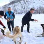 Adana’nın yayla ve ormanlık alanlarında doğadaki canlılar için yem bırakıldı.
