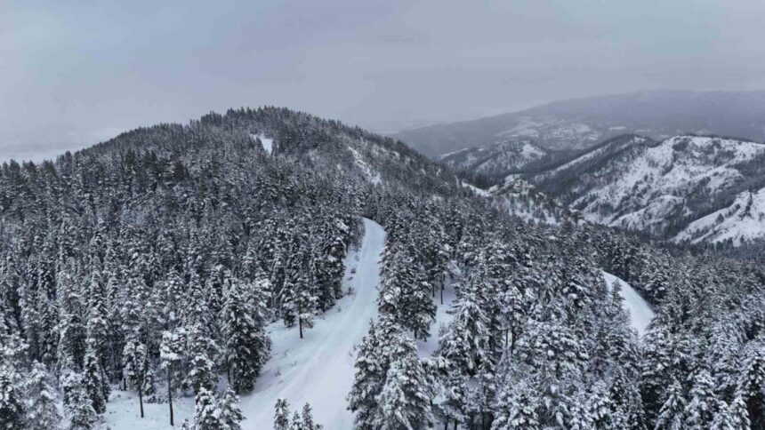 İhsangazi Ormanları, Karla Kaplanmış Manzarasıyla Ziyaretçileri Büyülüyor İhsangazi Ormanları, Karla Kaplanmış Manzarasıyla Ziyaretçileri Büyülüyor