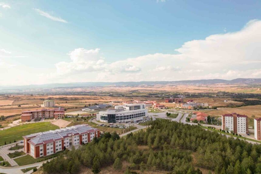 Kastamonu Üniversitesi’nin geliştirdiği “Etanol Bazlı Bitkisel El Dezenfektanı”, patent aldı.