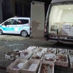 Çatalzeytin’de yasa dışı avlanan 1,5 ton balığa el konuldu, cezai işlem başlatıldı.