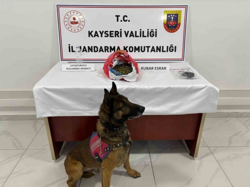 Kayseri’nin Develi ilçesinde jandarma tarafından 4 adrese düzenlenen uyuşturucu operasyonunda 3 kişi yakalandı. Kayseri’nin Develi ilçesinde jandarma tarafından 4 adrese düzenlenen uyuşturucu operasyonunda 3 kişi yakalandı.
