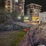 Talas’ta Şiddetli Rüzgar Ağaçı Otomobilin Üzerine Devrildi