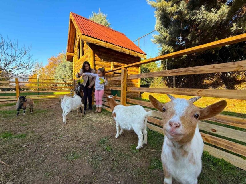 Kocaeli’de Özel Eğitim Merkezi’nde Hayvan Terapisi ile Çocukların Gelişimi Destekleniyor