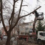 Keçiören Belediyesi, kış aylarında park ve yeşil alanların bakım çalışmalarını sürdürüyor.