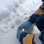 Elazığ’da başında konserve sıkışan kedi, sağlık ekibinin müdahalesiyle kurtarıldı.