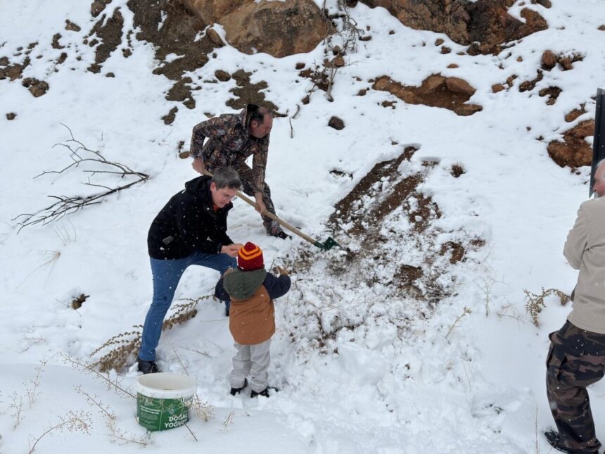 Kemaliye’de yoğun kar yağışı yaban hayatını olumsuz etkiledi, yiyecek bulmakta zorlanan hayvanlar için yemleme yapıldı. Kemaliye’de yoğun kar yağışı yaban hayatını olumsuz etkiledi, yiyecek bulmakta zorlanan hayvanlar için yemleme yapıldı.