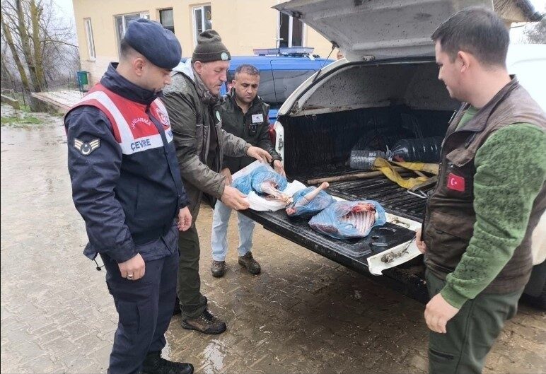 Kırklareli’nde yasadışı karaca avlayan kişiye 50 bin 943 lira ceza kesildi. Kırklareli’nde yasadışı karaca avlayan kişiye 50 bin 943 lira ceza kesildi.