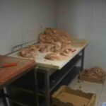 Çayırova’da ruhsatsız tavuk parçalama tesisi mühürlendi, son kullanma tarihi geçmiş ürünler ele geçirildi.