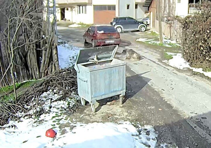 Bolu’da uyuyan sokak köpeğine çarparak kaçan sürücü yakalandı, köpek tedavi altına alındı. Bolu’da uyuyan sokak köpeğine çarparak kaçan sürücü yakalandı, köpek tedavi altına alındı.