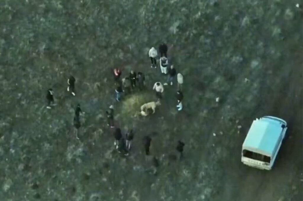 Afyonkarahisar’da yasa dışı köpek dövüşü yapan 14 kişi dron yardımıyla tespit edildi.