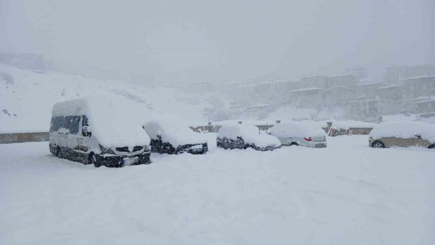 Kulp’ta Yoğun Kar Yağışı Yolları Kapattı, Hayat Durma Noktasına Geldi