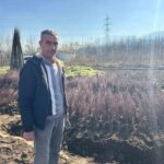 İnegöl’ün Cerrah Mahallesi, yılda 15 milyon çöğür üretimiyle Türkiye’de bahçe kurulumlarında önemli rol oynuyor.