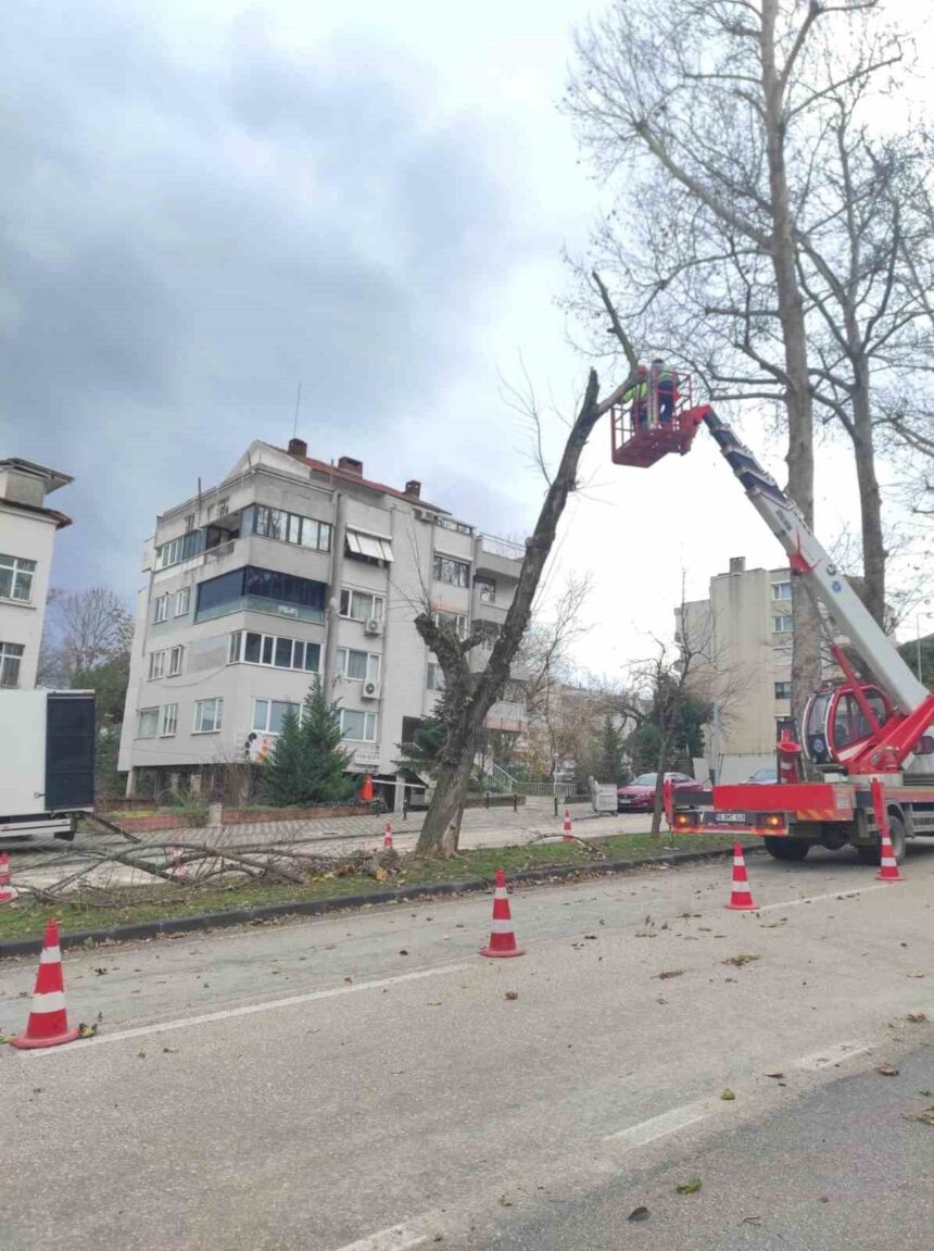 Bursa’da Şiddetli Lodos Nedeniyle Belediye Ekipleri Hızla Müdahale Etti