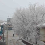 Muş’un Malazgirt ilçesinde dondurucu hava, kırağıyla muhteşem manzaralar oluşturdu.