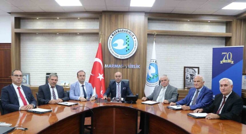 Marmarabirlik, 2025/2026 alım kampanyasında 13 Şubat 2026’da 860 milyon TL ödeme yapacak. Marmarabirlik, 2025/2026 alım kampanyasında 13 Şubat 2026’da 860 milyon TL ödeme yapacak.