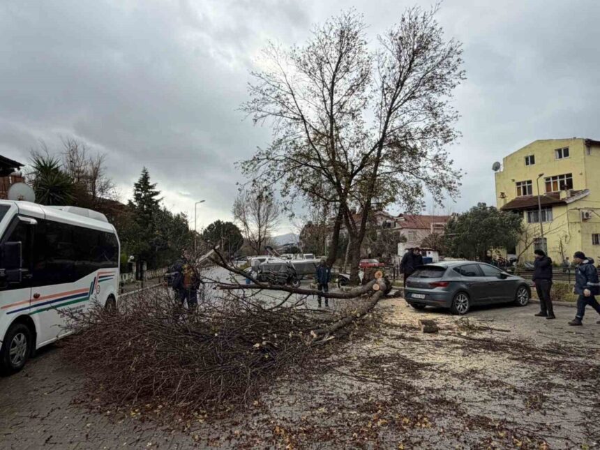 Marmaris’te Etkili Fırtına Hayatı Olumsuz Etkiliyor; Elektrik Kesintileri ve Yol Kapanmaları Yaşanıyor Marmaris’te Etkili Fırtına Hayatı Olumsuz Etkiliyor; Elektrik Kesintileri ve Yol Kapanmaları Yaşanıyor