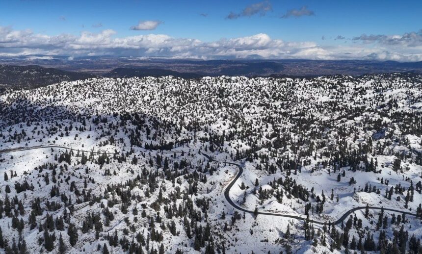 Anamur’daki yüksek rakımlı ormanlar karla örtüldü, dronla havadan çekilen görüntüler dikkat çekti. Anamur’daki yüksek rakımlı ormanlar karla örtüldü, dronla havadan çekilen görüntüler dikkat çekti.
